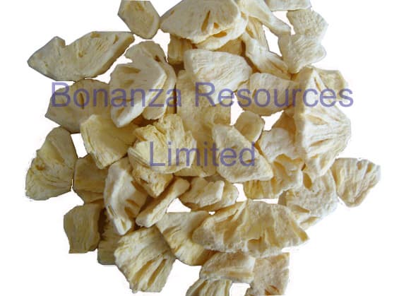 Freeze Dried/Lyophlized Pineapple Chips