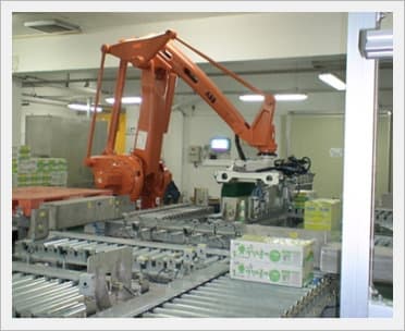Packaging and Robot Palletizer