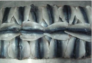 pacific mackerel flap scomber japonicus 80g+