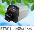BT101L+YZ15 peristaltic pump intelligent flow type-0.00016-575ml/min