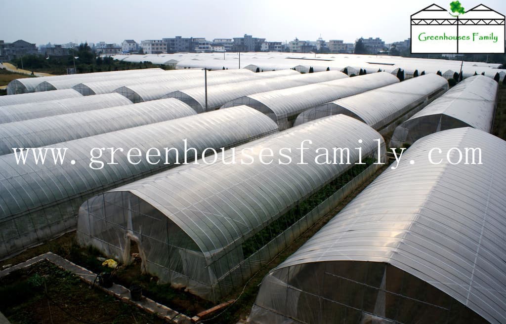 Plastic Tunnel Greenhouses for Agriculture