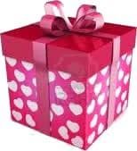 Gift Box for Valentine's Day (Zla57j25)