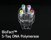 BioFact S-Taq DNA Polymerase
