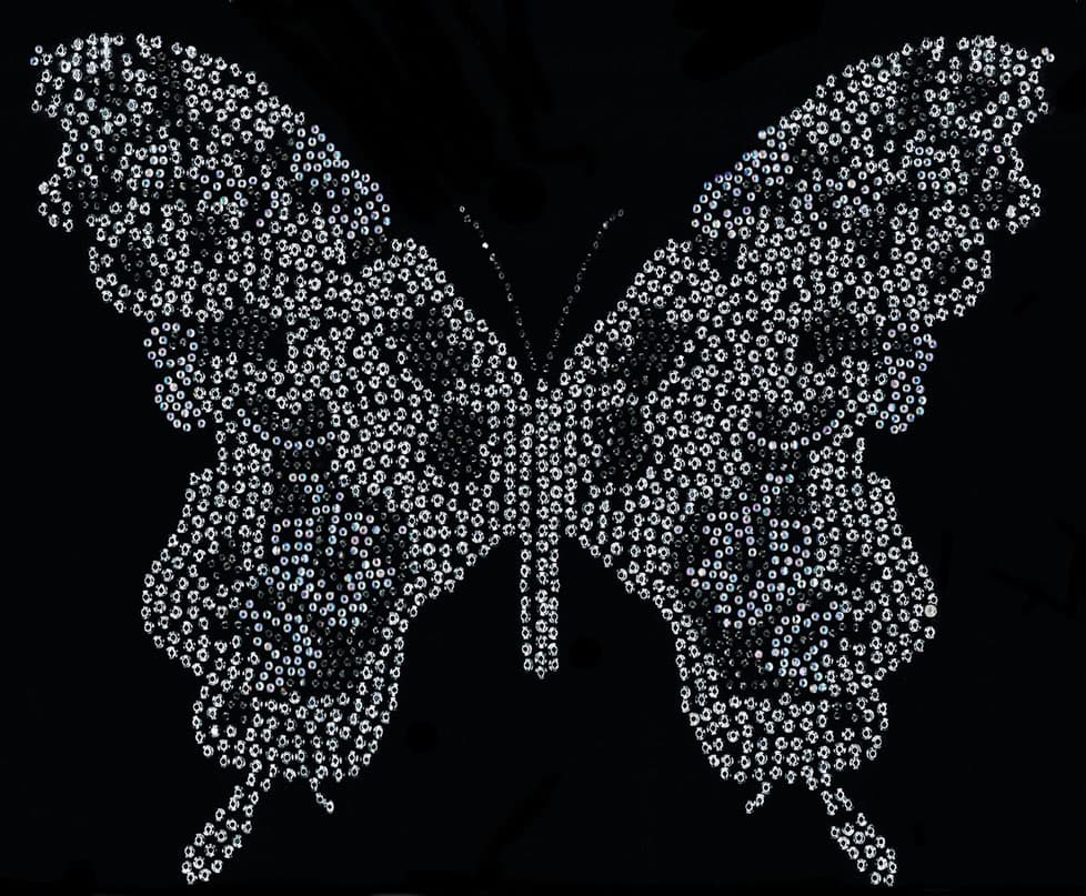 butterfly motifs