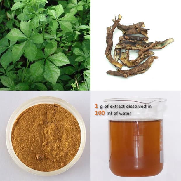High quality Chinese Siberian Ginseng Extract