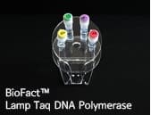 BioFact Lamp Taq DNA Polymerase