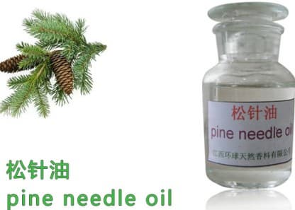 Natural Pine Needle Oil,fir needle oil,Pine leaf oil