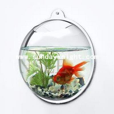 Acrylic half ball wall hanging fish tank