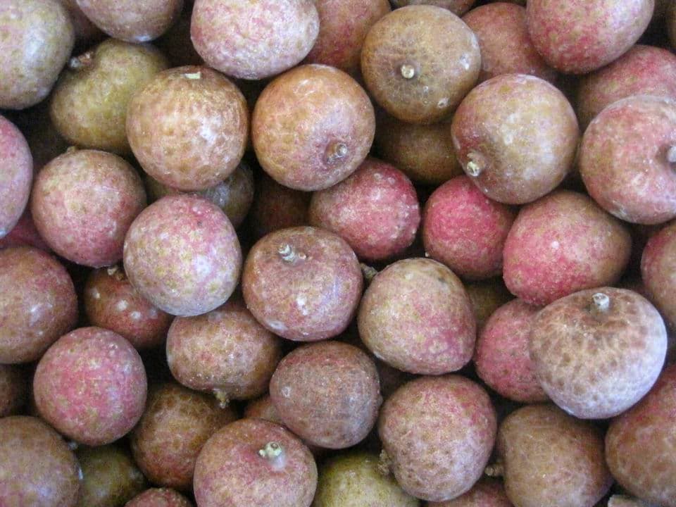 IQF Frozen Lychee from China