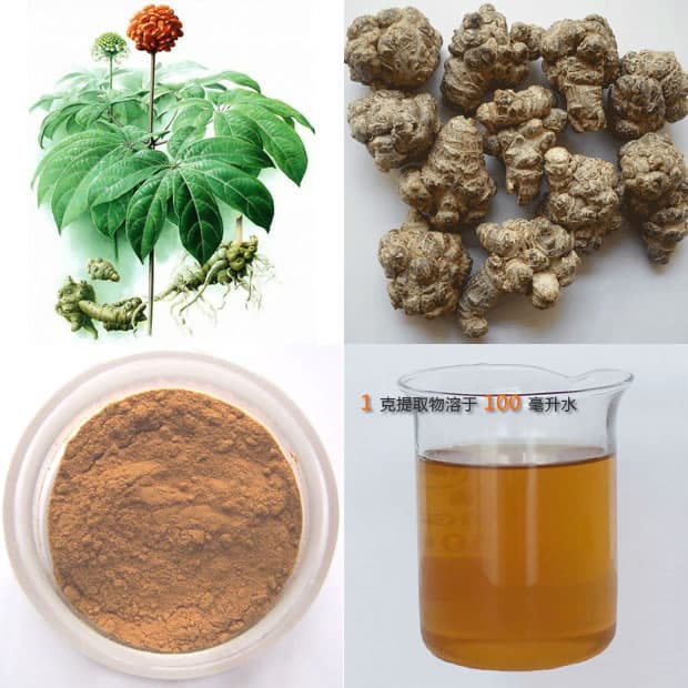 High Quality Panax Notoginseng Root Extract