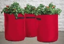 Tomato planter bag