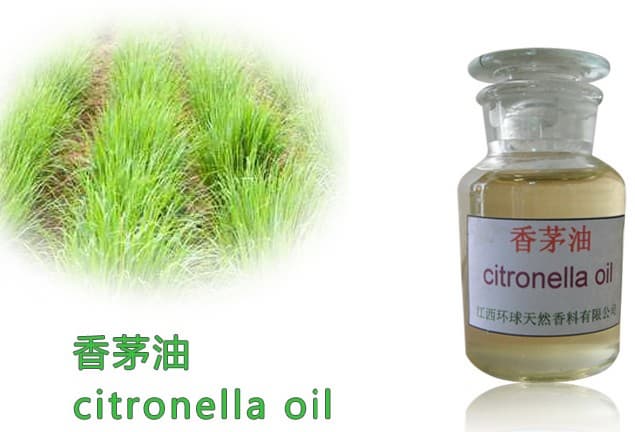 Pure Natural Citronella Aromatherapy Fragrance Oil,organic citronella oil,CAS 8000-29-1