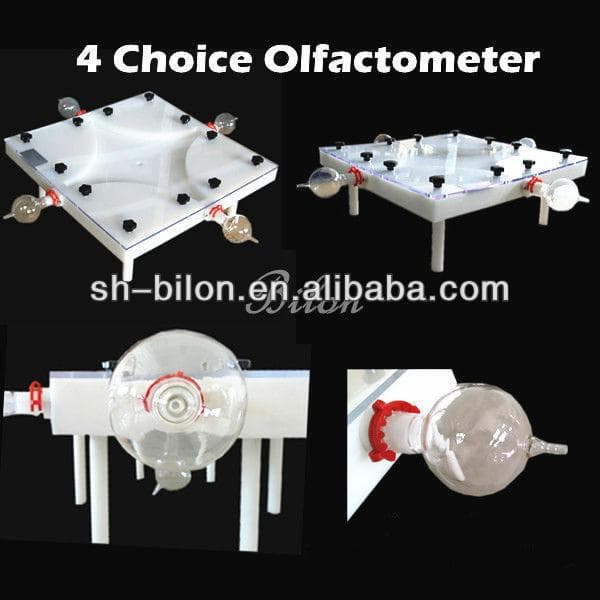 Insect olfactometer