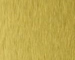 golden brush/silver brush coating aluminum coils for decoration