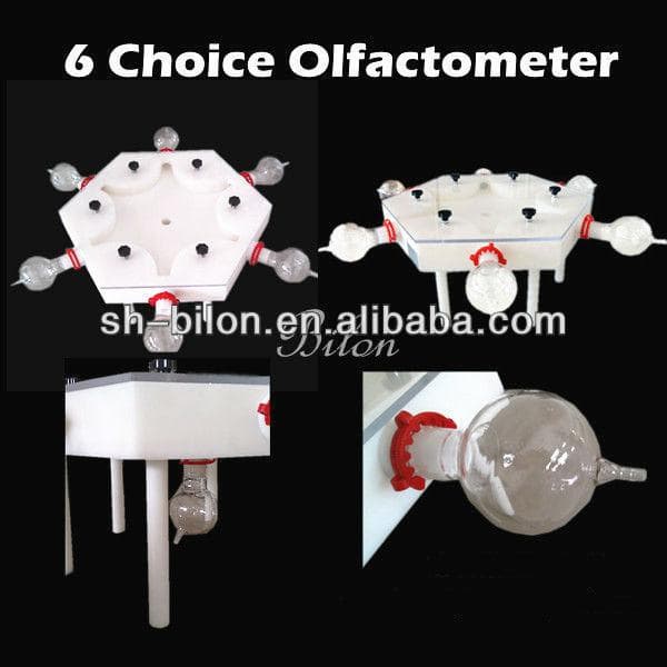 6 Choice Olfactometer