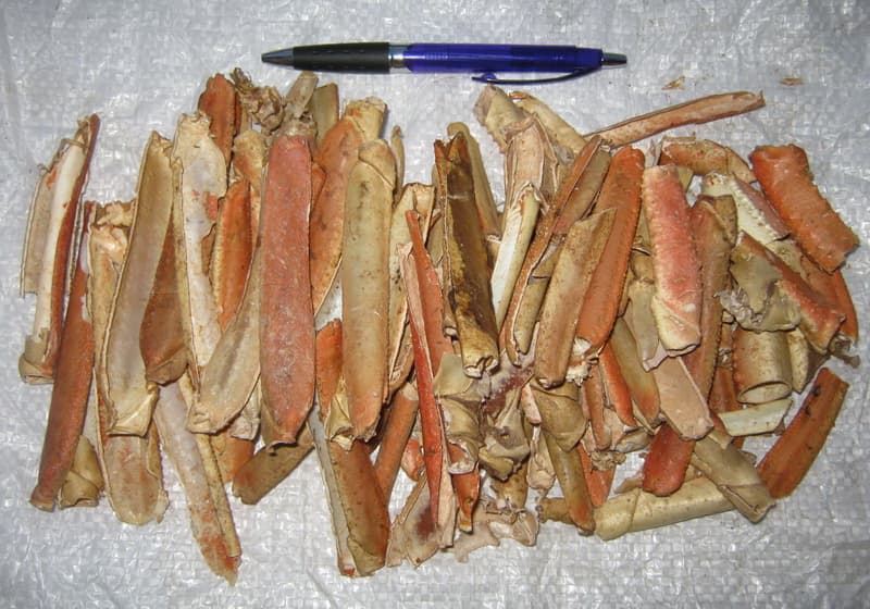 snow crab