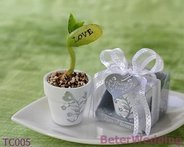 TC005 Love Message Bean Wedding Favor, Baby Shower Favors