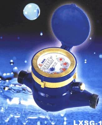 Rotary vane wheel dry-dial water meter