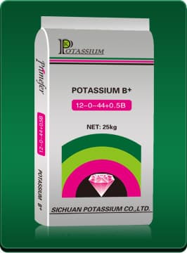 Potassium Nitrate plus B+ (12-0-44+0.5 B)