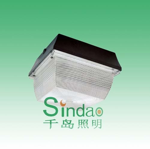 Induction Ceiling Lamp (SD-CL-601)