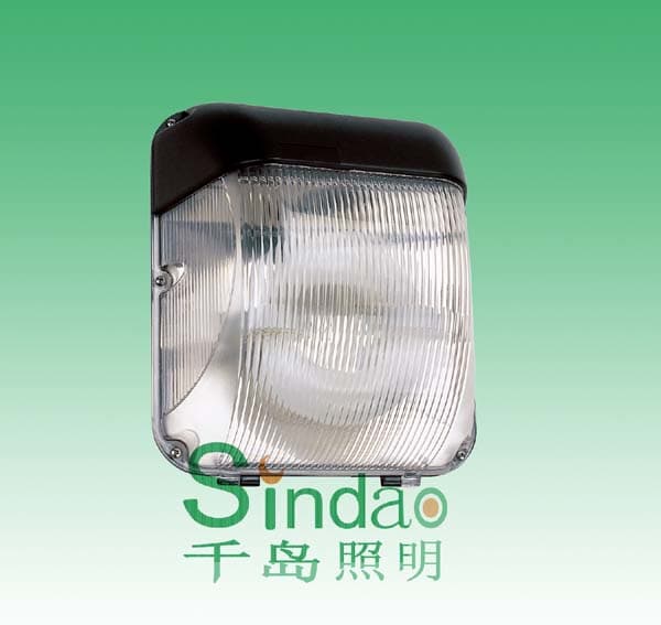 Induction Lamp, Wall Light (SD-WL-501)