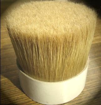 bleached brush bristle