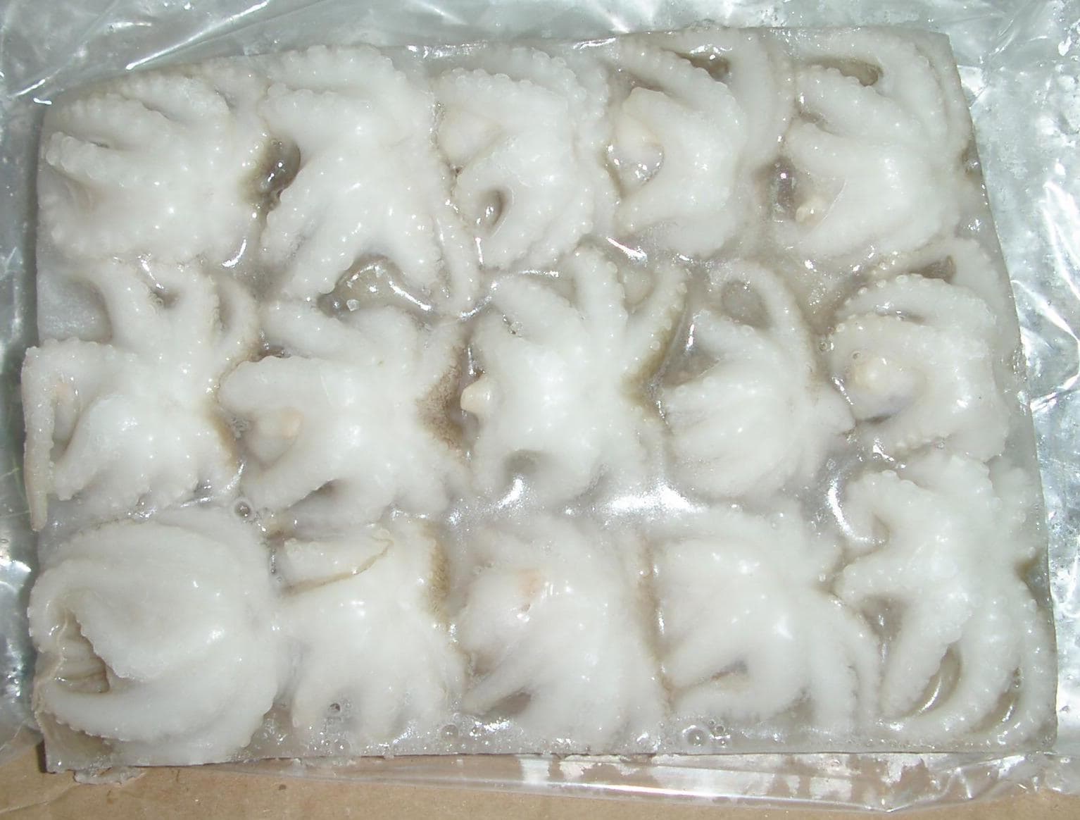 Frozen Whole Cleaned Baby Octopus (Octopus vulgaris)