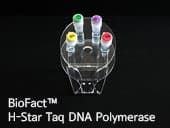 BioFact H-Star Taq DNA Polymerase