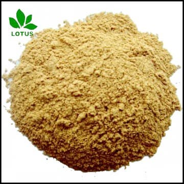 Seabird Guano Phosphate for organic fertilizer P2O5 20-32%