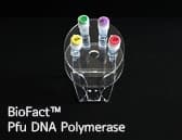 BioFact Pfu DNA Polymerase