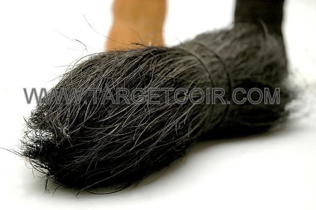black bristle fibre