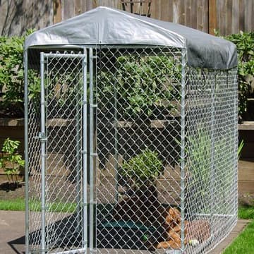 chain link dog kennel