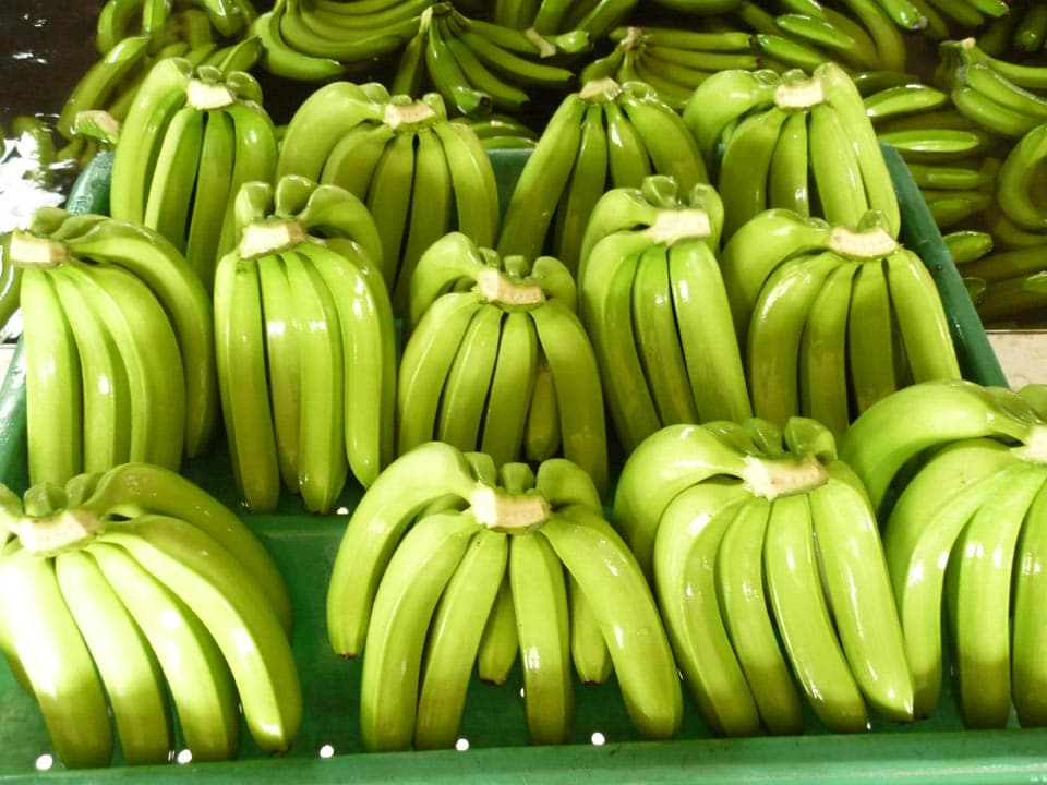 banana fresh