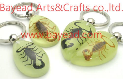 real bug,insect amber keychains,key ring,so cool gift,so unique gift,amber world gift