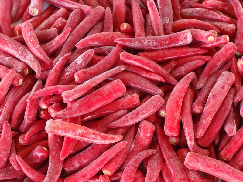 Frozen red chilli (pepper)