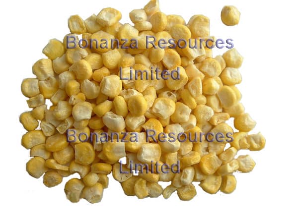 Freeze Dried/Lyophilized Sweet Corn