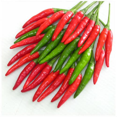 Small Chili 4-5cm, red and spicy