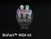BioFact WGA Kit