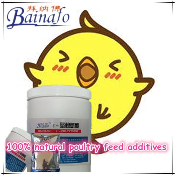 BioFeed Additives in poultry