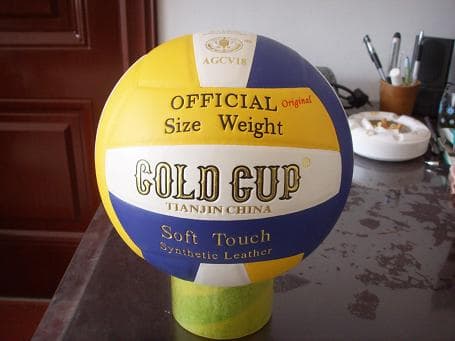 PU Gold Cup volleyball-regular 18 panel design