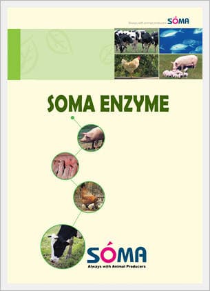 Soma Enzymes