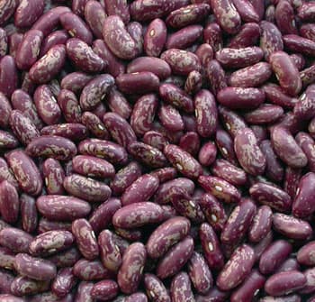 Purple speckled kidney beans (2011 Crop)