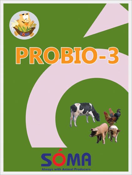 PROBIO-3 (Excellent Combination for Yeast, Probiotics..)