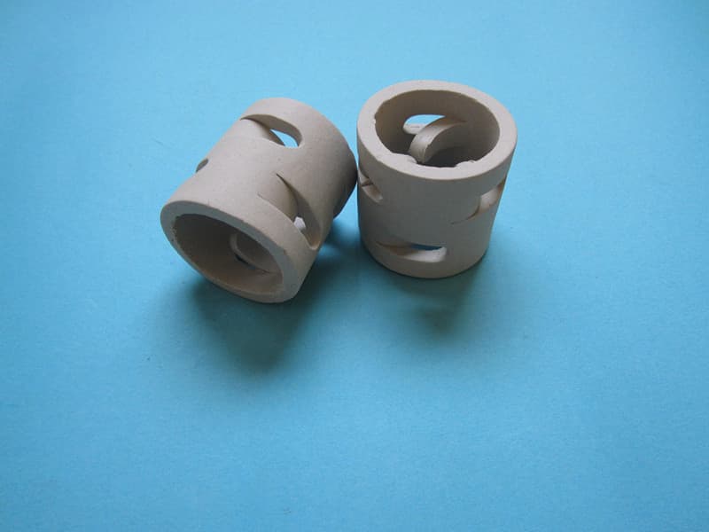 Ceramic Pall Rings for Chemical Tower column
