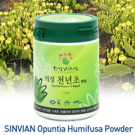 Opuntia Humifusa Powder