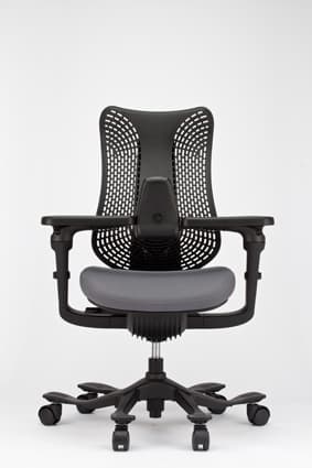 office chair (ipole3)