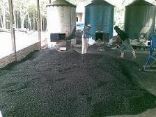 Palm Kernel Shell Charcoal
