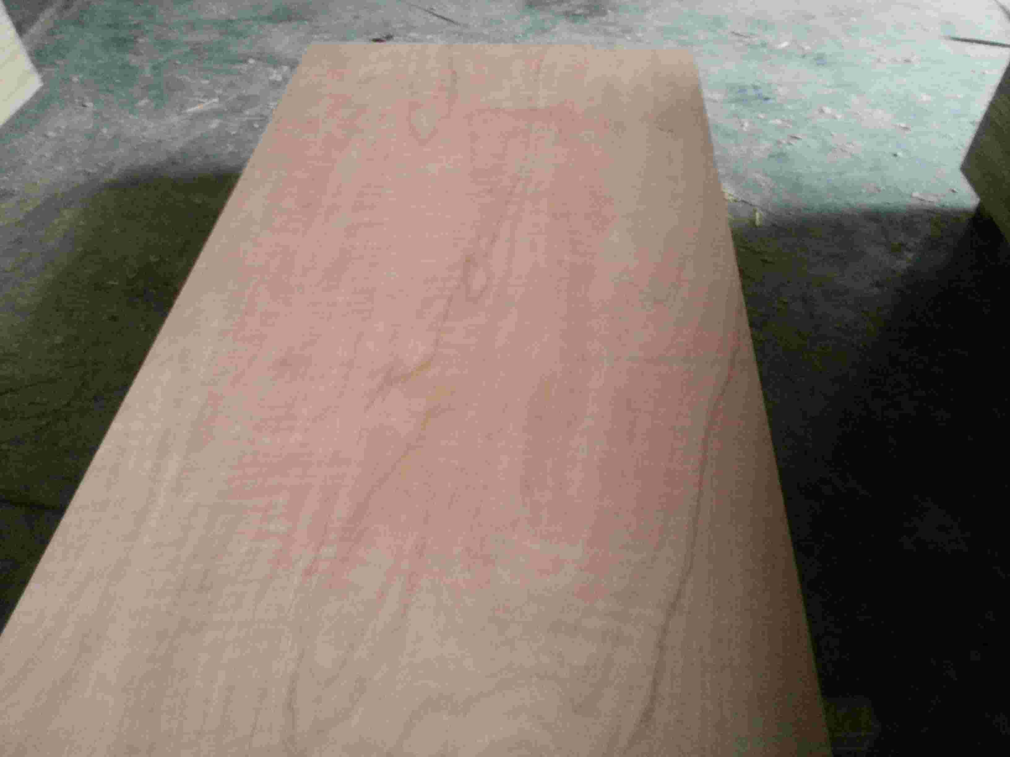 CP plywood for concrete panel from Vietnam