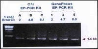 PCR Premix kit