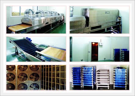 Red Pepper Processing & Treatment System